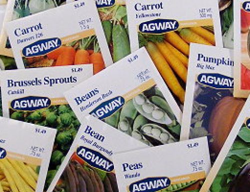 Start your garden with free seeds!