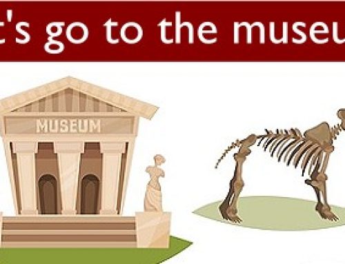 Check out a museum — with free passes!